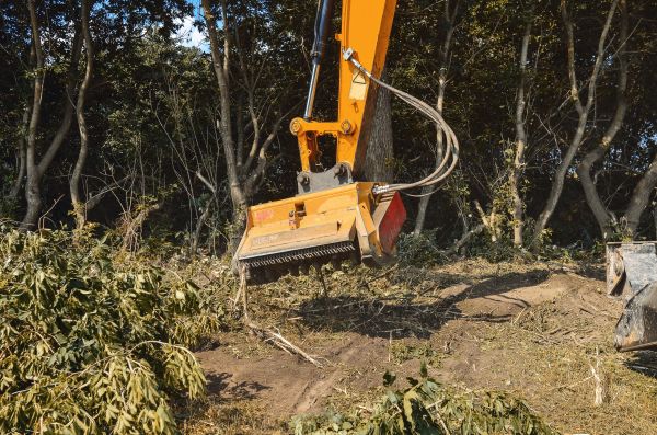 Brush Removal Service in Citrus Heights