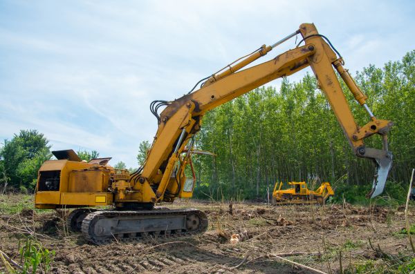 Farm Clearing in Citrus Heights
