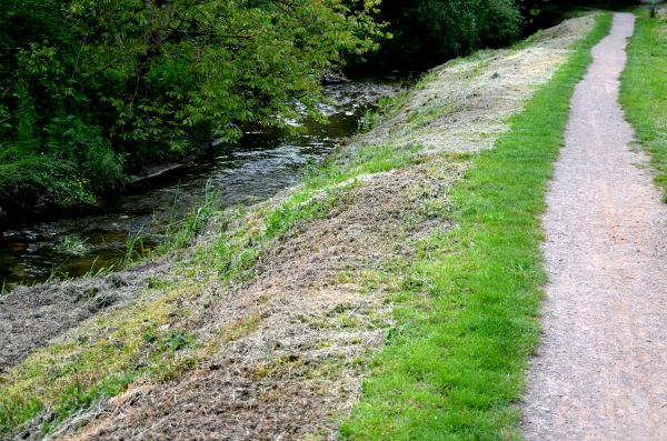 Trail Cutting in Citrus Heights